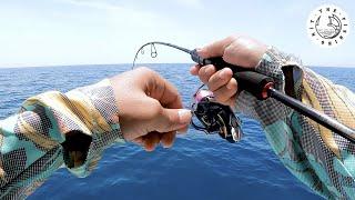 A GREAT 2500 SIZED SPIN REEL FOR MICRO JIGGING | SUPER LIGHT JIGGING SPINNING REEL