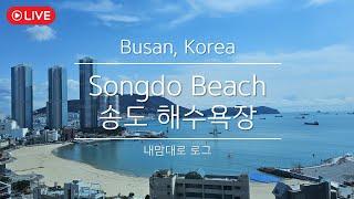 부산 송도 해수욕장 실시간 라이브 디지털 도파민 디톡스 Korea Busan Songdo Beach Live Cam Streaming Digital Dopamine Detox