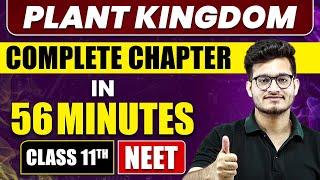 PLANT KINGDOM in 56 Minutes | Full Chapter Revision | Class 11 NEET