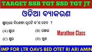 Target SSB TGT SSD TGT Sevak Sevika Exam !! Odia Grammar MCQs !! OAVS OPSC RI ARI OSSTET BEd Exam !!