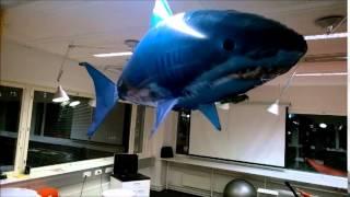 #DevShark geeks without borders