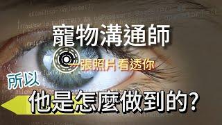 寵物溝通師.為什麼這行業長期被罵翻卻屹立不搖?! 幫你1次搞懂!!