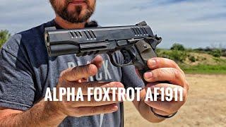 Great Gun Great Price! Alpha Foxtrot AF1911 Range Review