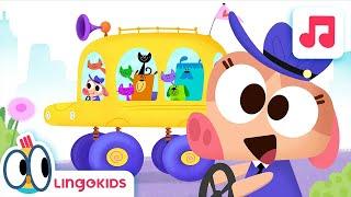 WHEELS ON THE BUS  Nursery Rhymes | Lingokids