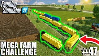 Filling THE LONGEST ROAD-TRAIN in FS22 with SILAGE BALES | MEGA FARM #47 | Farming Simulator 22