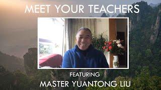 Zhineng Qigong Teacher Master Yuantong Liu (China)