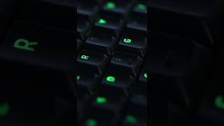Can I… have some of that Razer Chroma RGB?  #razer #gaming #gamer #rgb