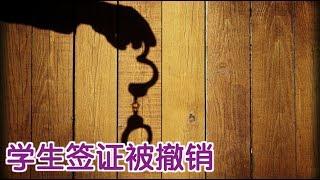 因为犯罪记录学生签证被撤销怎么办