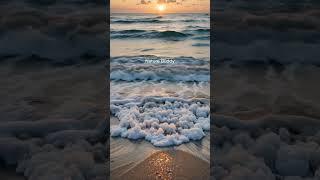 Escape to Tranquility  | Relaxing Nature Sounds & Views
