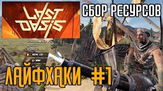 【LAST OASIS -Pre-Alpha】Лайфхаки при сборе ресурсов #1