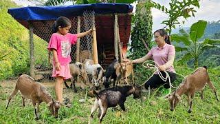 Luyen decided to sell her dog - To have money to buy more goats for a more stable economy.