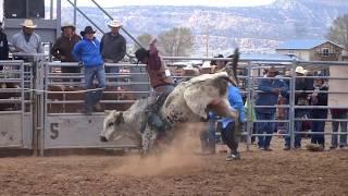 Triple Threat Bull Riding