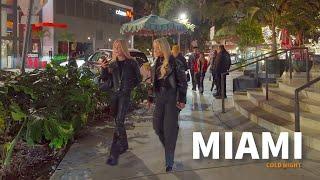 Experience Miami in a COLD night: BRICKELL Walking Tour