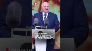 Лукашенко подарили лошадь древней полесской породы! #лукашенко #политика #новости #беларусь #shorts