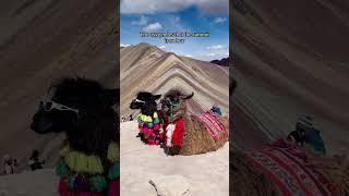 Don't hike to Rainbow Mountain in Peru! #perú #rainbowmountain #vinicunca