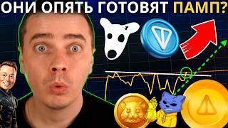 ️MEM DOGS، NOTCOIN، HMSTR، CATS، X IMPIRE، TONCOIN ️ دوباره برای رشد قدرتمند آماده هستید! فرصت را از دست ندهید