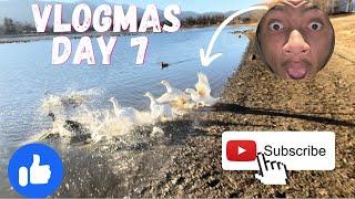 A DAY AT THE LAKE DUCKS  ATTACK US || VLOGMAS DAY 7