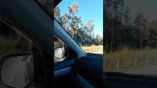 Driving from Brisbane Australia 2023 #Driving #australia #australianroad