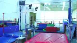 Accel Gymnastics Information