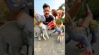 New Big RC Dinosaur,Elephant & Lion Unboxing #shorts