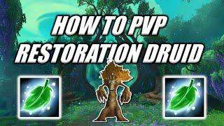 How To Play Restoration Druid Episode 1