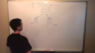 Fork() system call tutorial