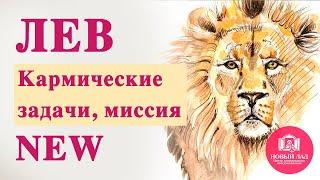 Лев. Кармические задачи. Миссия. Предназначение