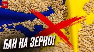  П'ять країн ЄС "повстали" проти українського зерна!