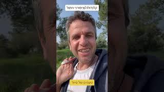 ציפרני חתול / קלנדולה