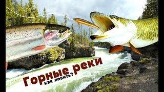 Как ловить рыбу на горной реке спиннингом? Какая рыба водится в горных реках?