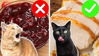 Toxic & Non-Toxic Thanksgiving Foods For Cats