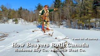 How Beavers Built Canada | Hudson Bay Company vs. North West Company | History | Wildlife