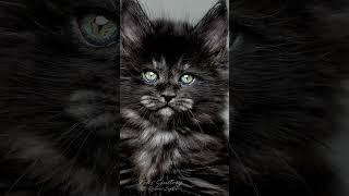 Her name is Midnight.
