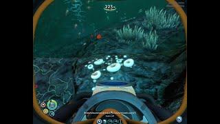 Глубинный гриб  на глубине 200 метров.Subnautica прохождение как найти глубинный гриб .