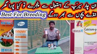 Best Vitamins, Minerals and Calcium Syrup For Birds Breeding and Birds Health | Zebra Finch Aviary