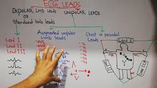 CVS physiology 23. ECG leads, bipolar and unipolar leads