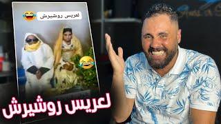 حصل حصلة ديال لكلاب 