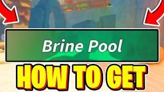 How To FIND BRINE POOL LOCATION In Fisch! Roblox