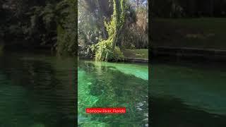 This place is unreal!|Rainbow River, Florida