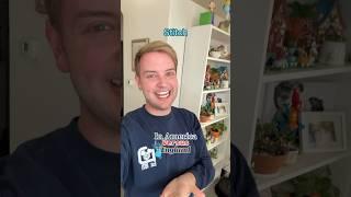Stitch In America Versus England!