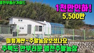 [계약진행중]1천만내리고~다리를수술후 관리가 힘이들어 떠납니다.배산임수 명당터 심플하고 예쁜농막급매(123평)[매물번호820-1]/영천부동산가이드/영천부동산