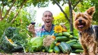 Backyard Garden HARVEST, YOU Can Do THIS!!