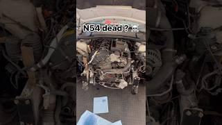  Are Single Turbo BMWs DEAD?  | The Truth Revealed! 