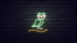 Owl - Neon Creative Work