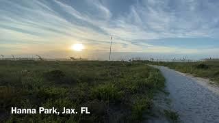 Hanna Park sea turtle release!