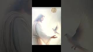 Jesus is the WAY !! #jesus #prayer #love #god