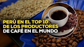 Impacto de la producción de café en la economía peruana #ROTATIVARPP | SEGMENTO