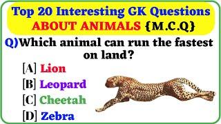 Interesting GK Questions About Animals l GK in English l General Knowledge l GK l Knowledge Vista l