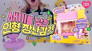 [SUB] baby rabbits are born?!! Toy Unboxing