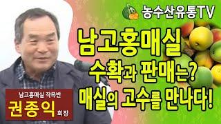 남고홍매실 수확과 판매를 물어보세요. 매실의 고수를 만나다. 매실농사 노하우와 성공 실패를 배우다. 매실청은 어떻게? 남고홍매실작목반 판로는?